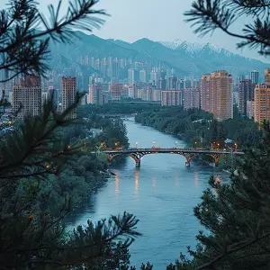 同济大学陶逸文简介