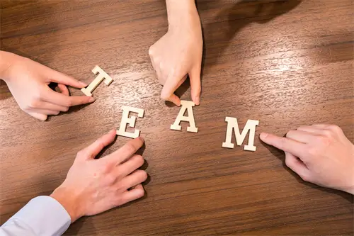 中南大学赵南教授简介