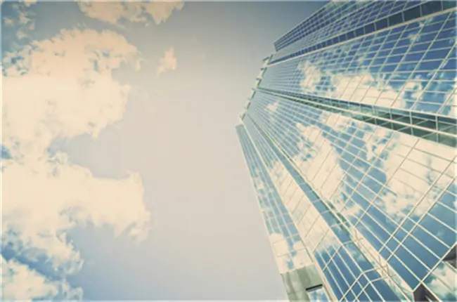 李想大学教授简介