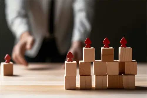 河南大学王京瑶简介