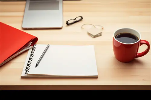 武汉大学王天见简介